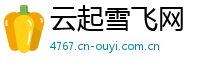 云起雪飞网